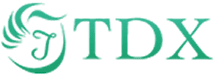 株式会社TDX